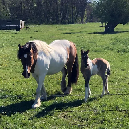 Ferienhaus Le Petit Woerthel