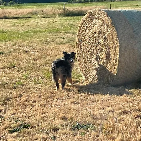 Le Petit Woerthel Wolxheim