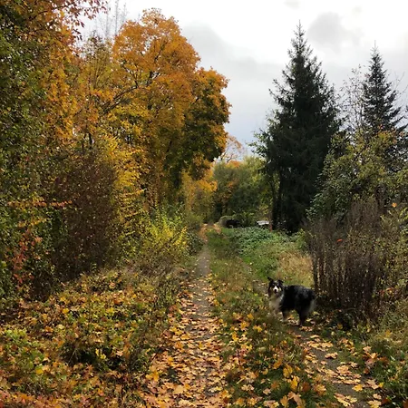 Le Petit Woerthel Ferienhaus Wolxheim